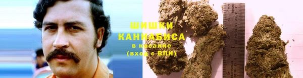 герыч Бронницы