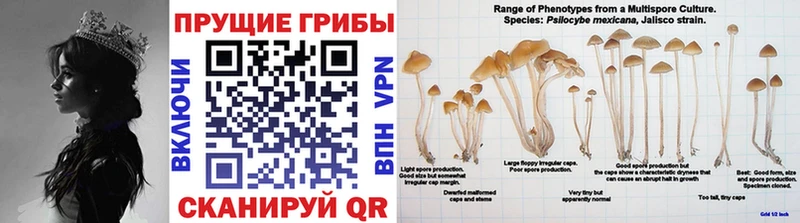 Галлюциногенные грибы ЛСД  гидра ТОР  Вышний Волочёк  купить  сайты 
